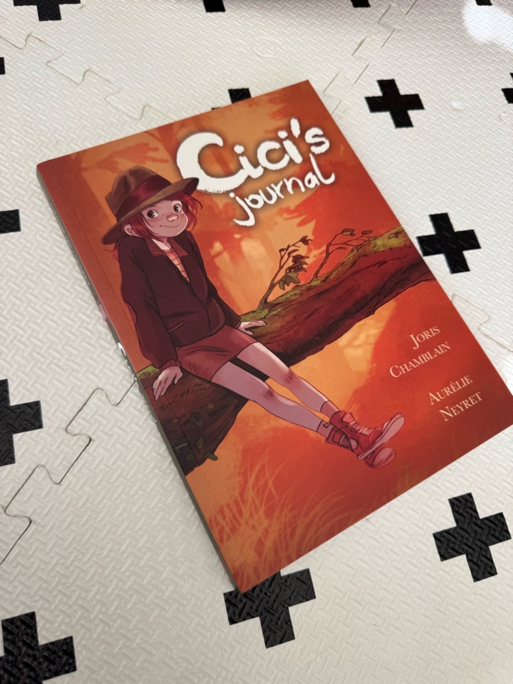 Cici’s Journal, Teen girl graphic novel